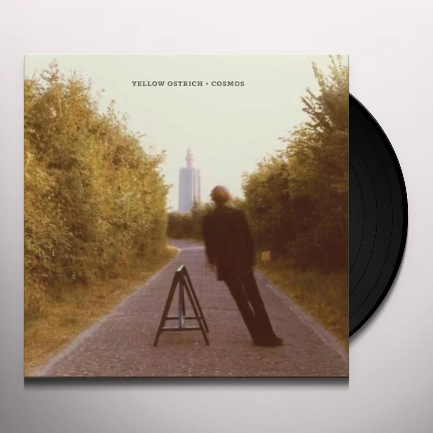 Yellow Ostrich Cosmos Vinyl Record
