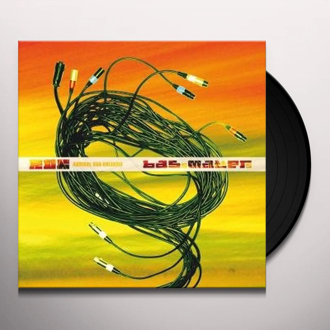 Radikal Dub Kolektiv BASS MATTERS Vinyl Record