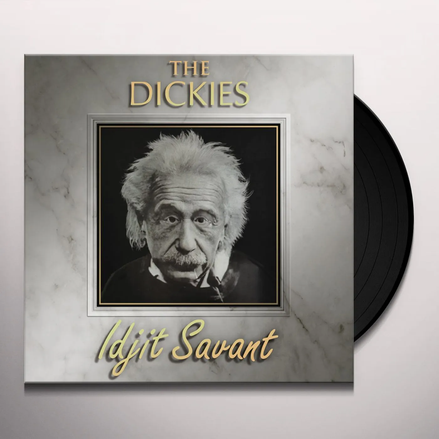 The Dickies Idjit Savant Vinyl Record