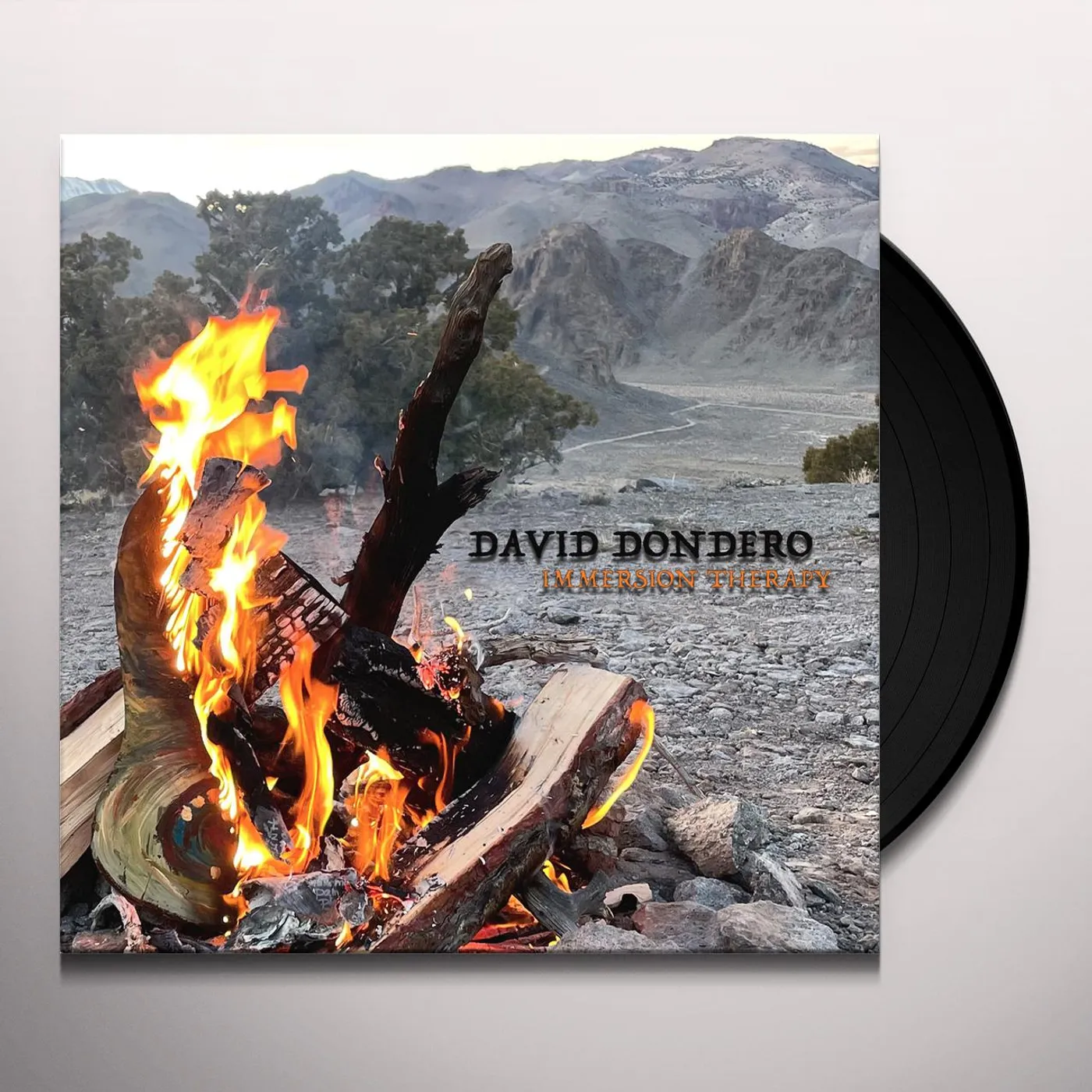 David Dondero Immersion Therapy Vinyl Record