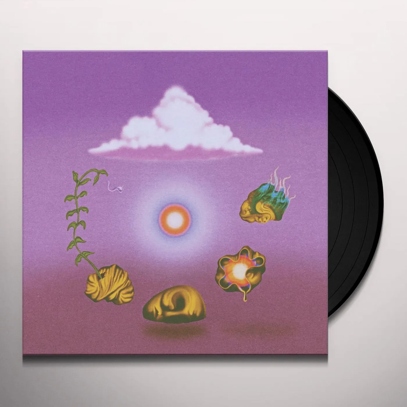 Evolfo Site out of Mind Vinyl Record