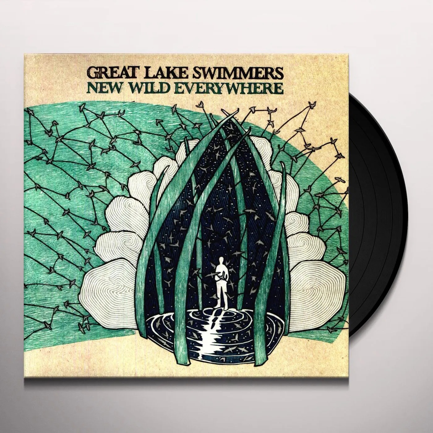 Great Lake Swimmers New Wild Everywhere Vinyl Record