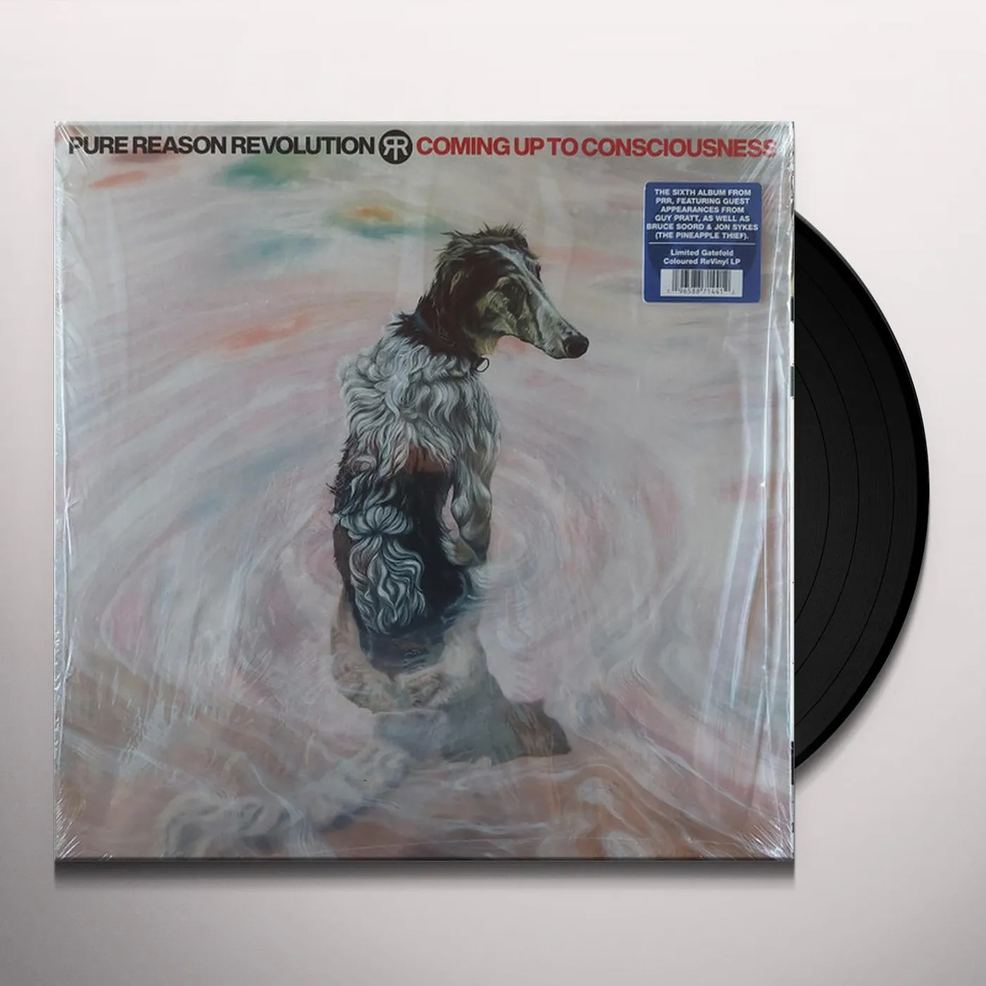 Pure Reason Revolution COMING UP TO CONSCIOUSNESS Vinyl Record