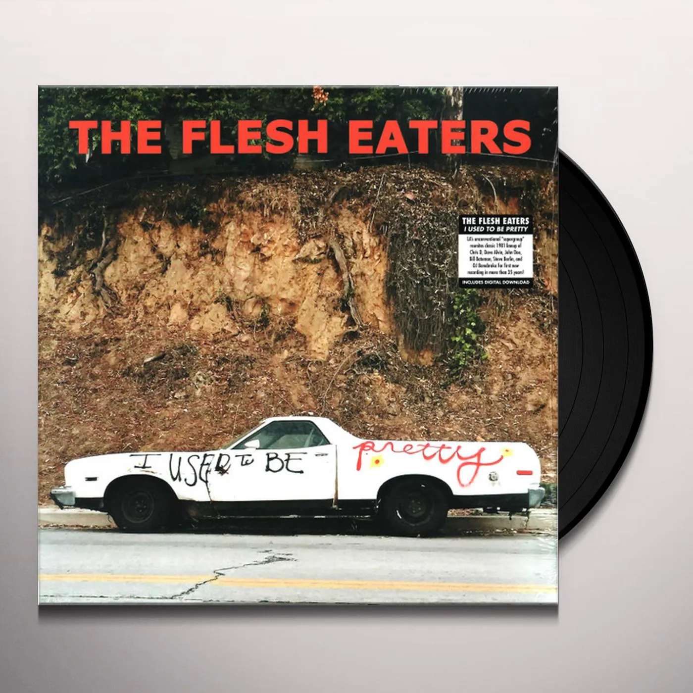 The Flesh Eaters I Used to Be Pretty Vinyl Record