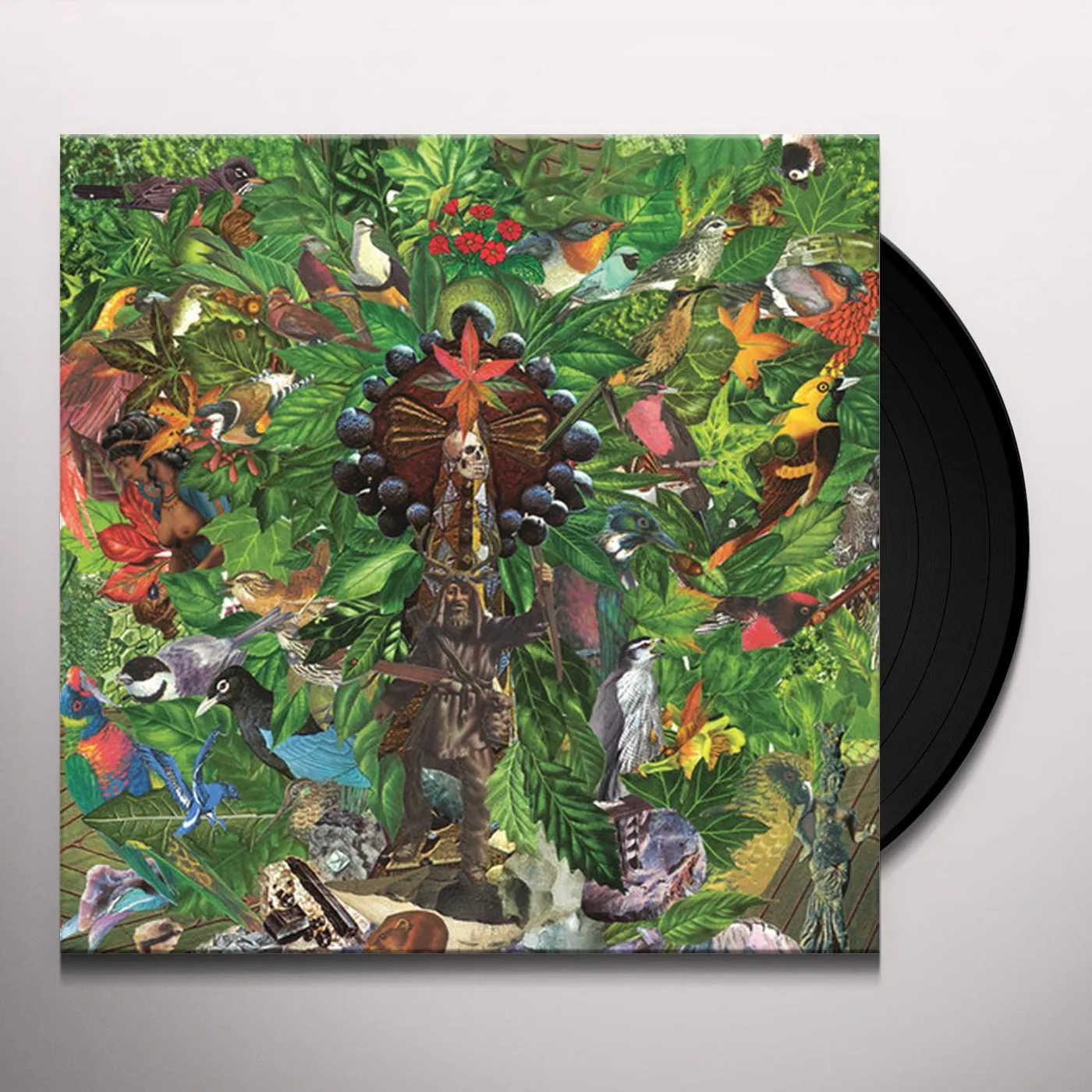 Plankton Wat Drifter's Temple Vinyl Record