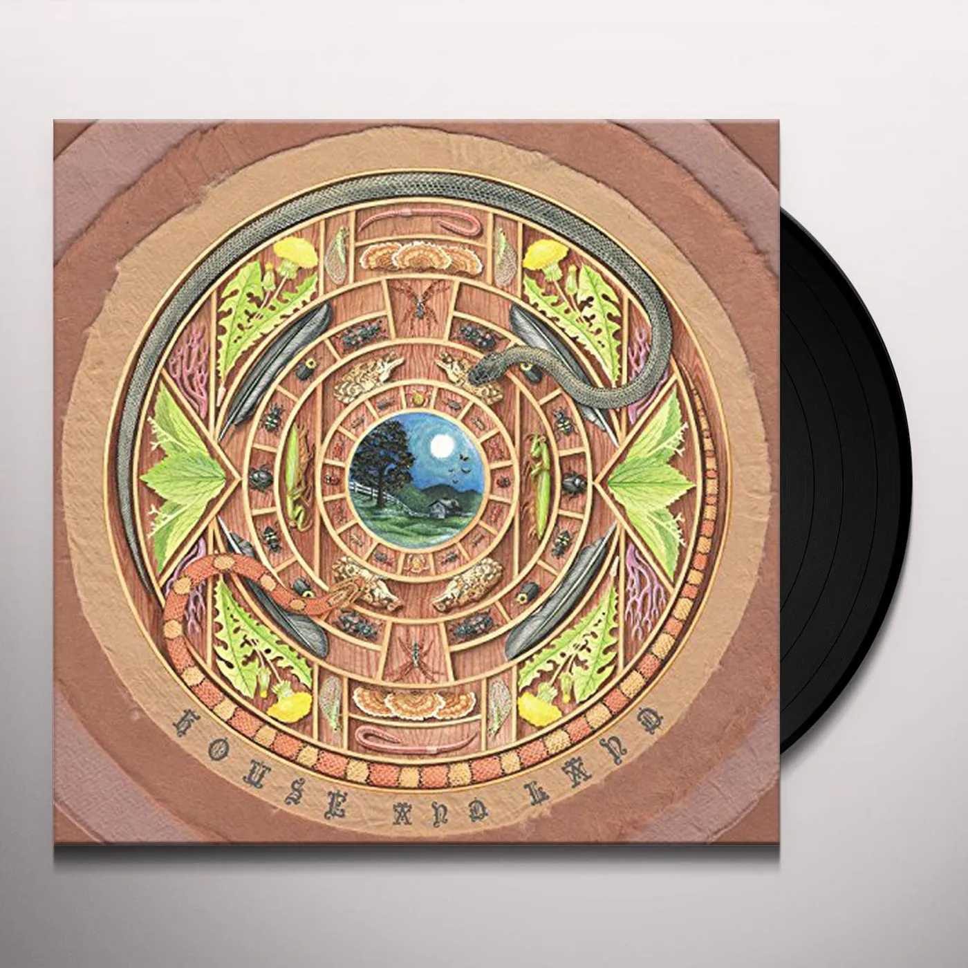 House and Land Vinyl Record