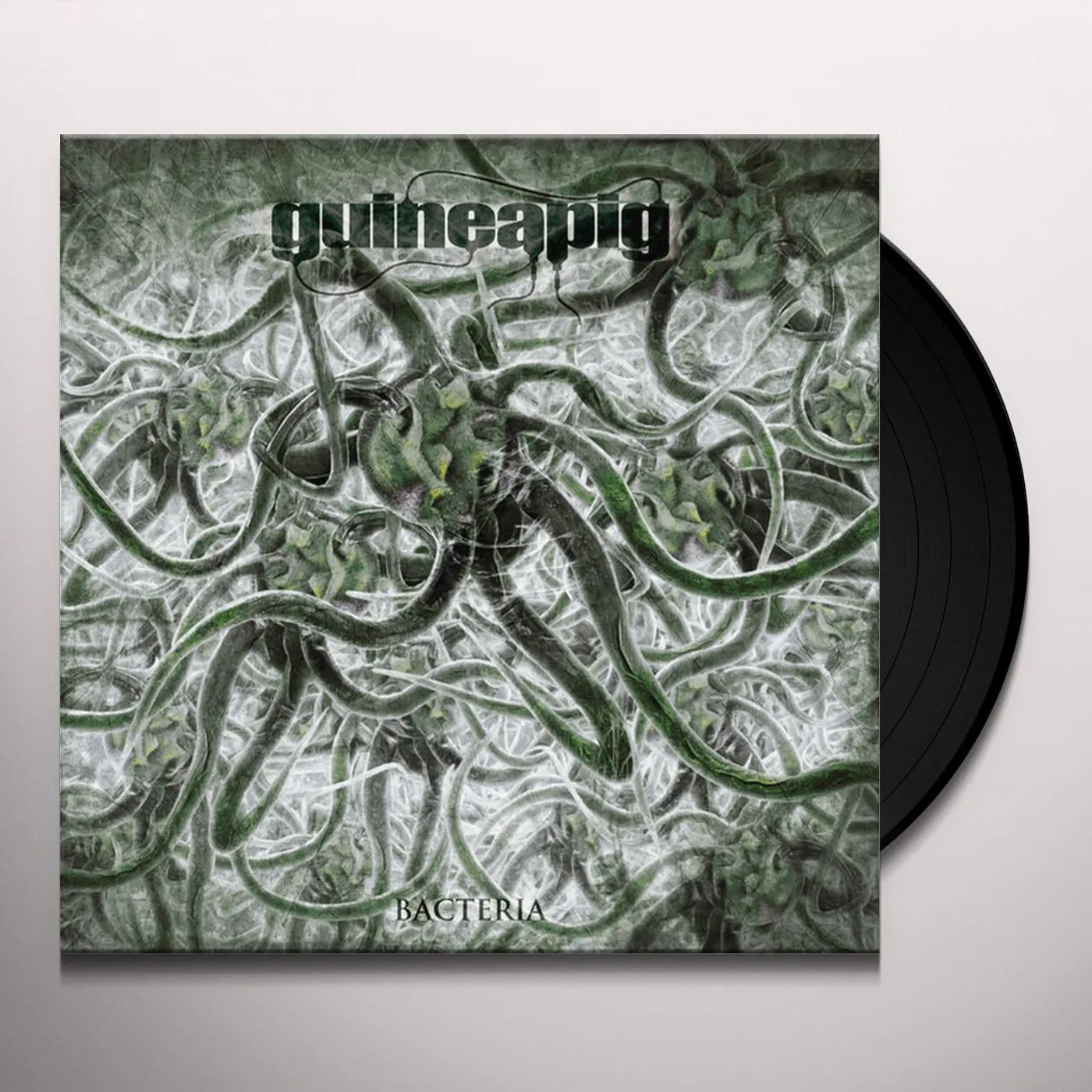 Guineapig Bacteria Vinyl Record