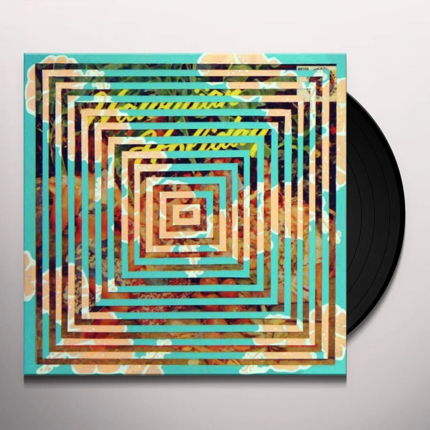 Sandy Pussy Vinyl Record