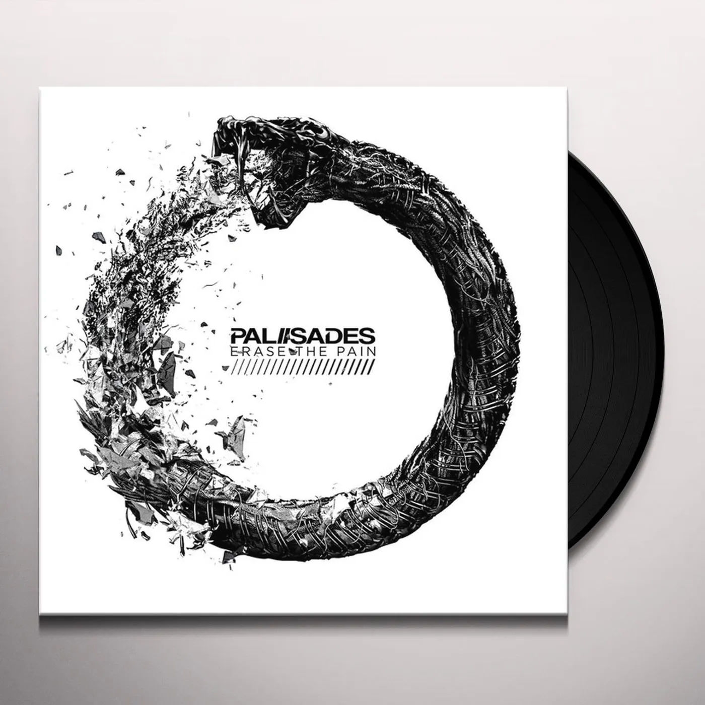 Palisades Erase The Pain Vinyl Record