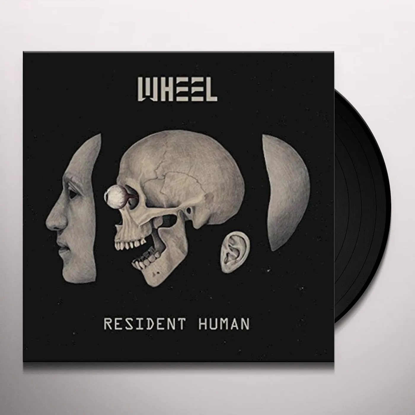 Wheel Resident Human Vinyl Record