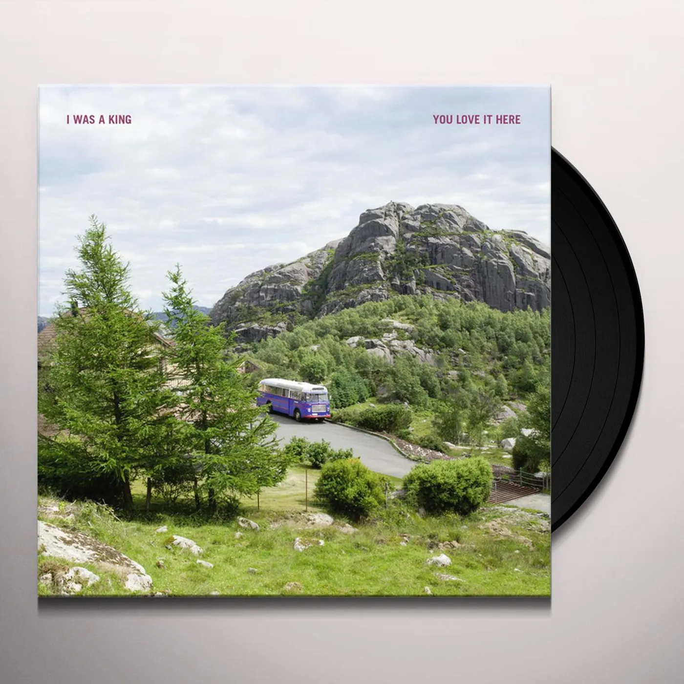 I Was A King You Love It Here Vinyl Record