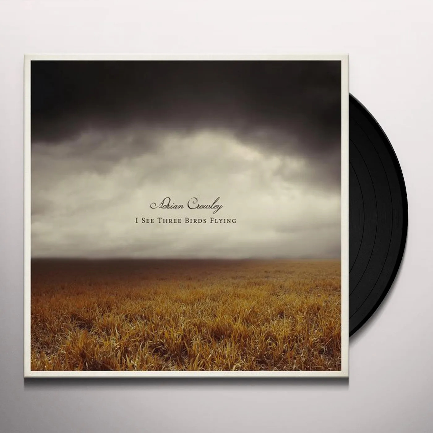 Adrian Crowley I See Three Birds Flying Vinyl Record