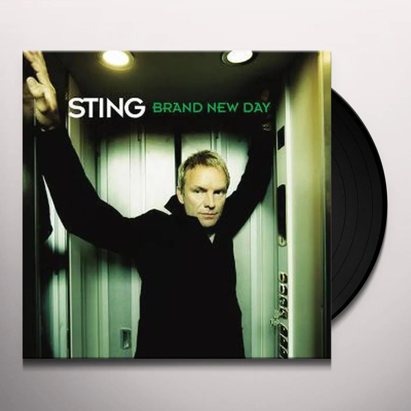 Sting BRAND NEW DAY Vinyl Record
