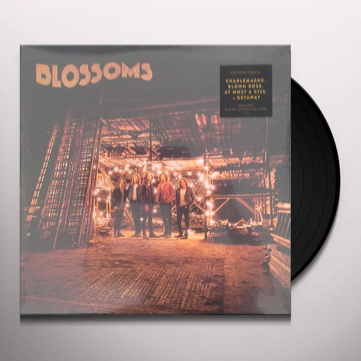 Blossoms Vinyl Record