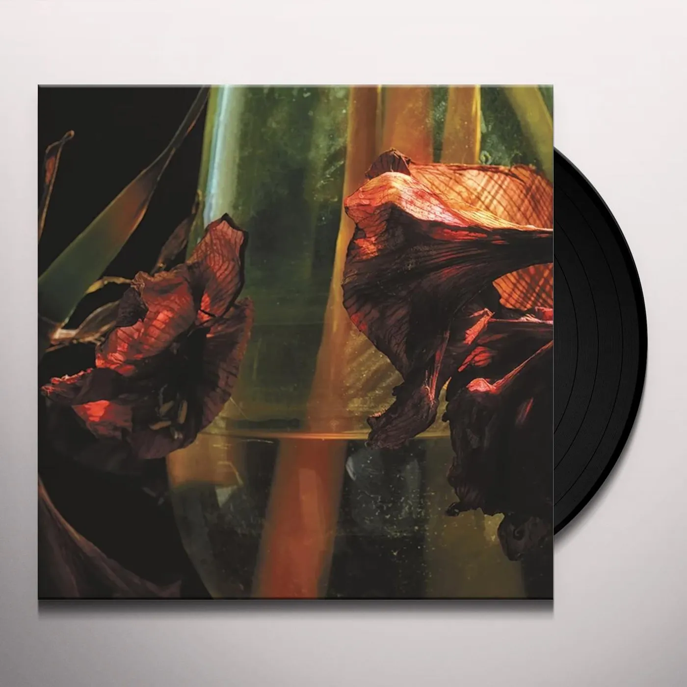 Hayvanlar Alemi PSYCHEDELIA IN TIMES OF TURBULENCE (LIMITED 3 COLOURS VINYL) Vinyl Record