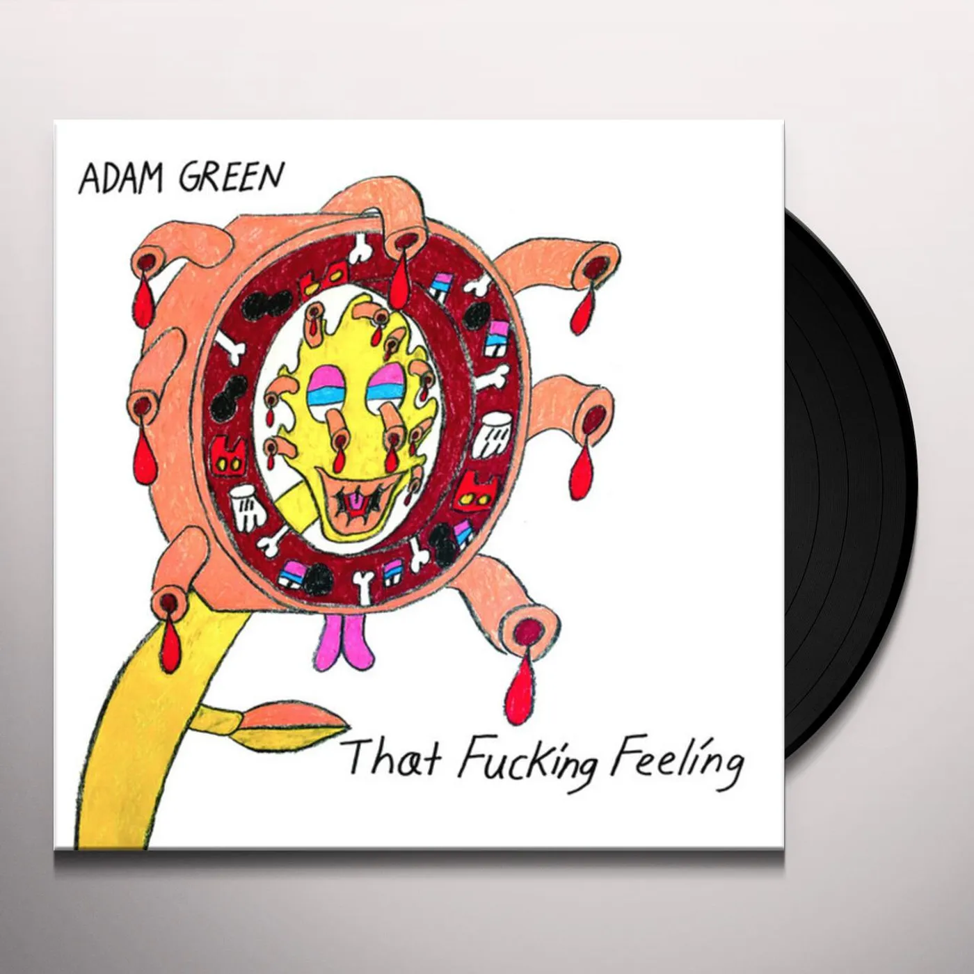 Adam Green That Fucking Feeling Vinyl Record