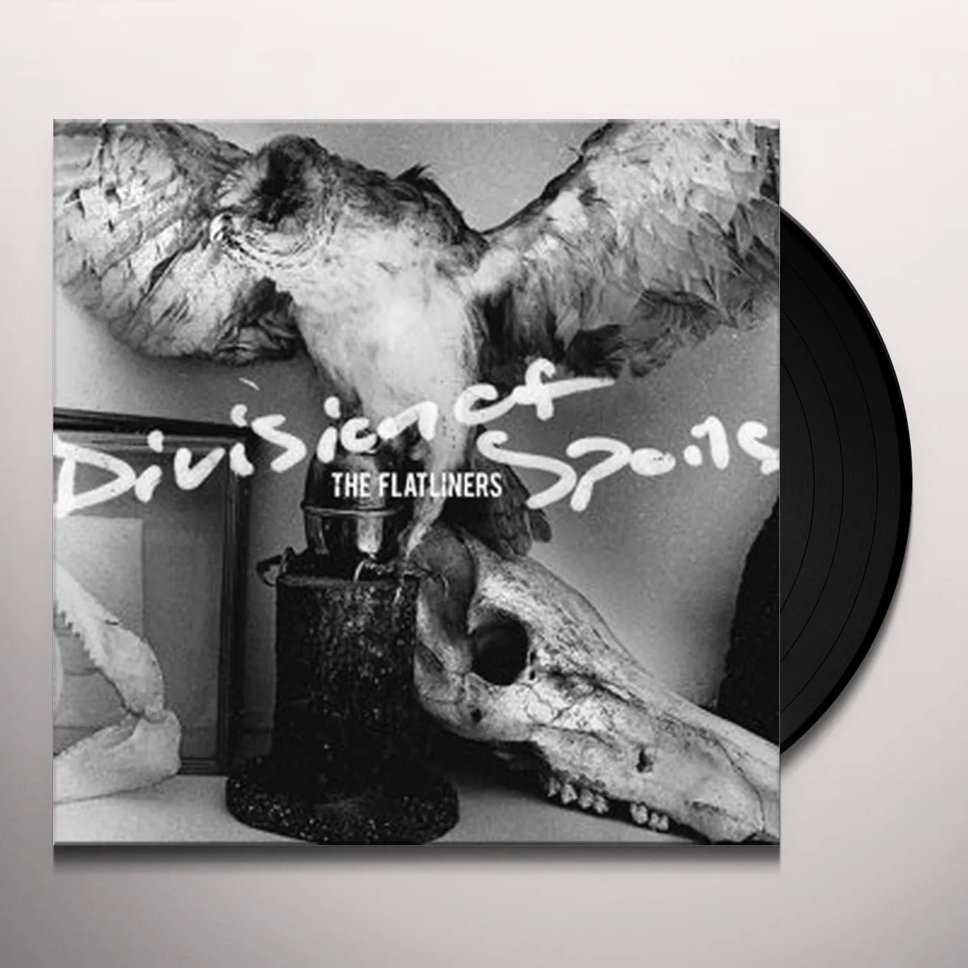 The Flatliners Division of Spoils Vinyl Record