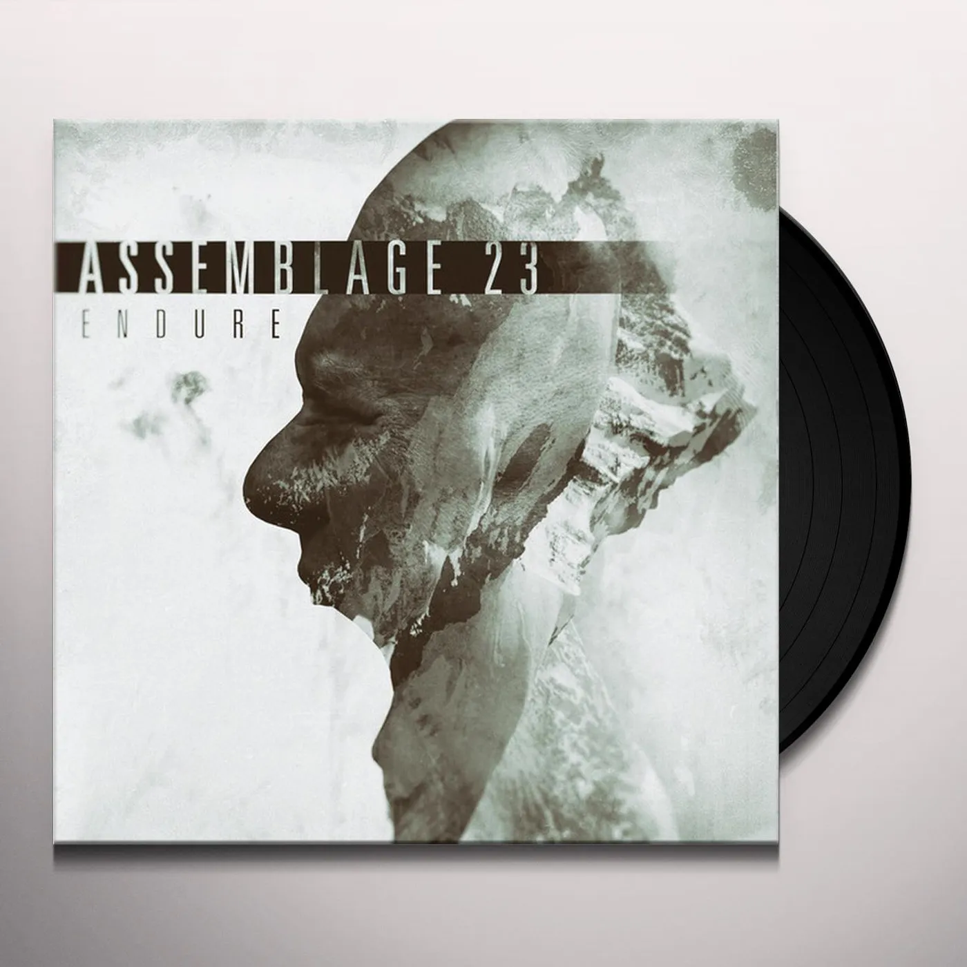 Assemblage 23 ENDURE LIMITED EDITION LP Vinyl Record