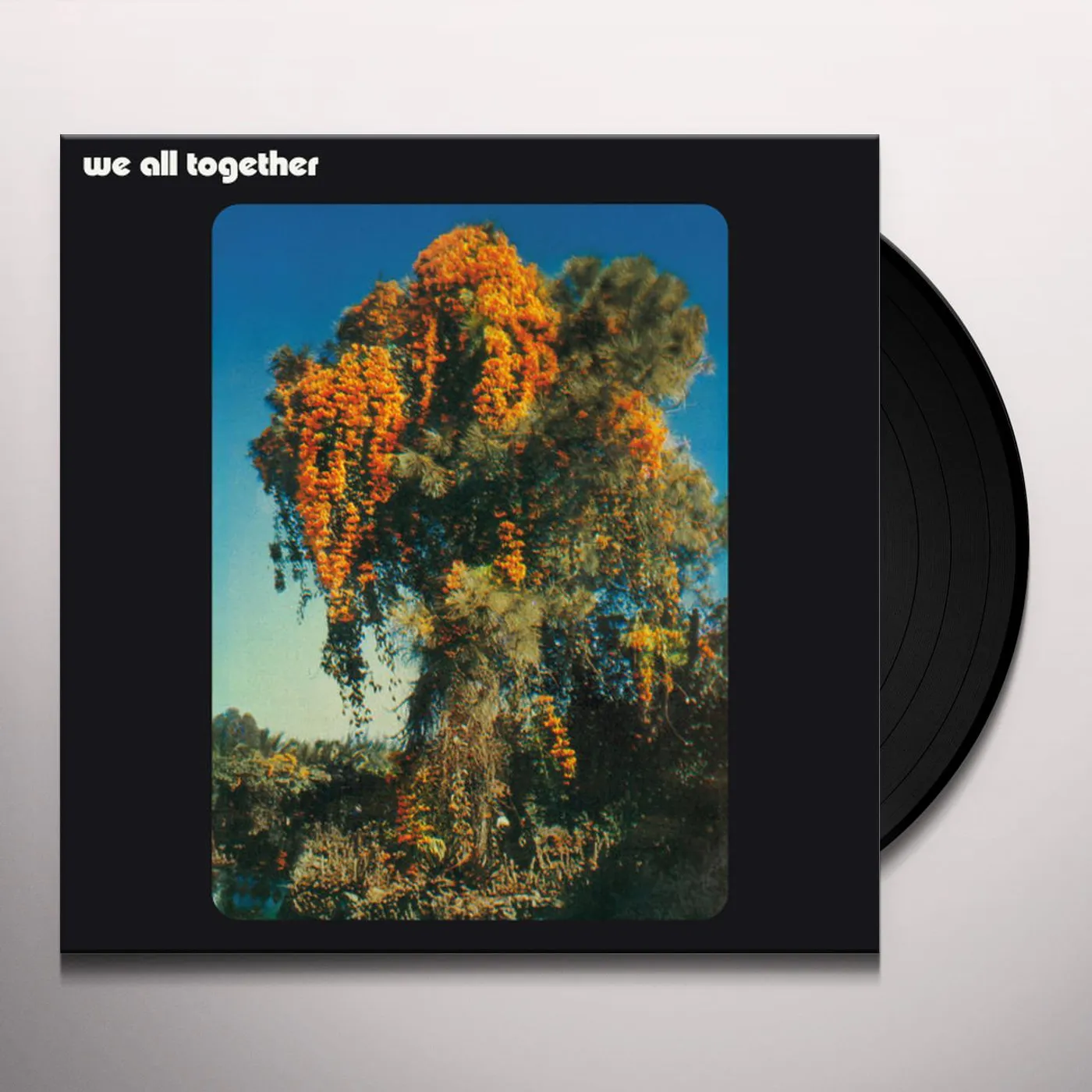 WE ALL TOGETHER Vinyl Record