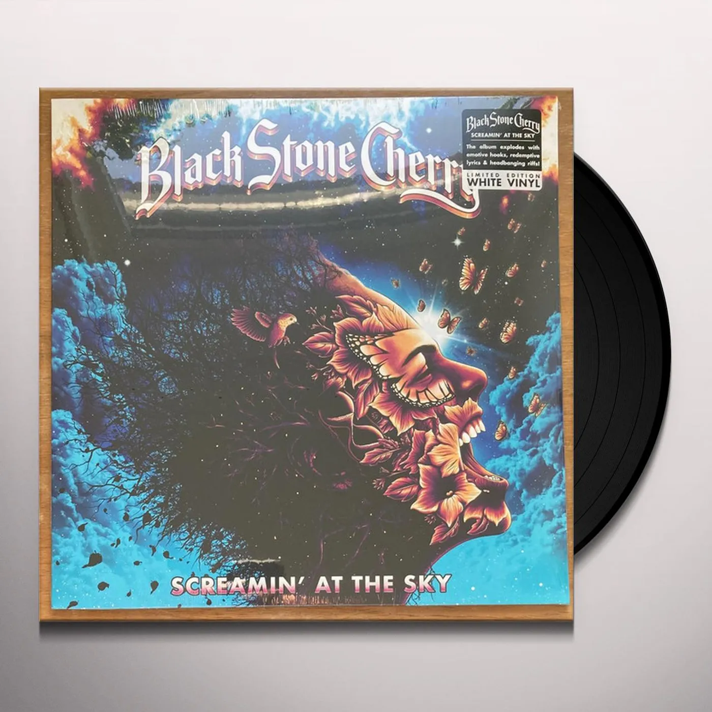 Black Stone Cherry SCREAMIN' AT THE SKY Vinyl Record