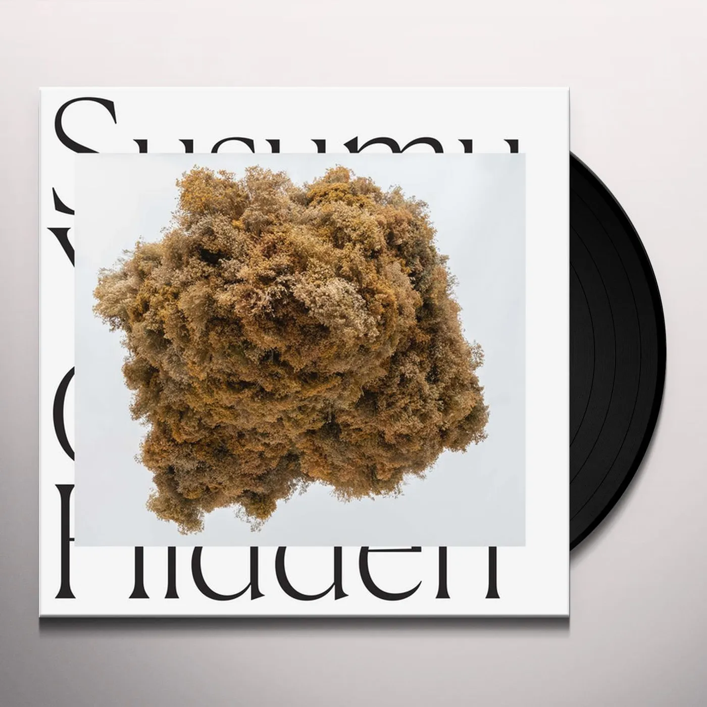 Susumu Yokota Cloud Hidden Vinyl Record