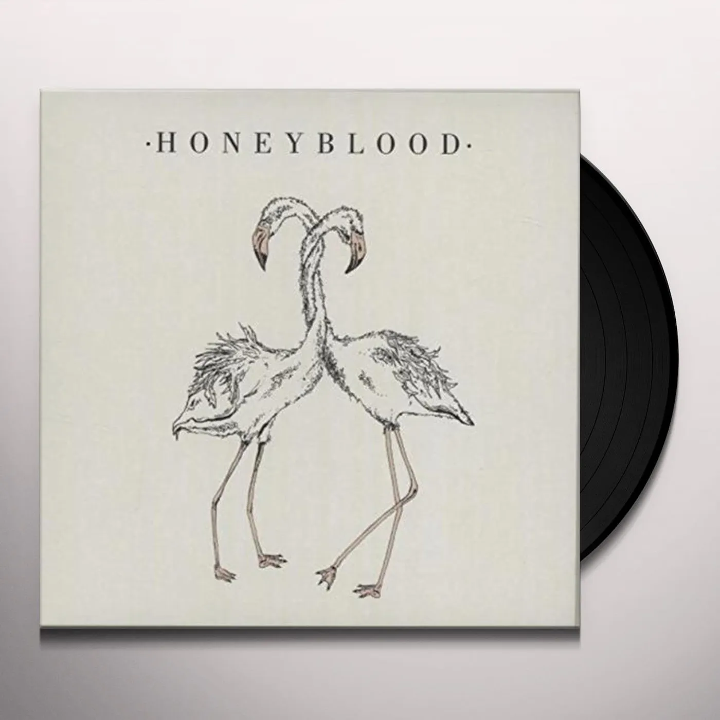 Honeyblood No Big Deal / The Black Cloud Vinyl Record
