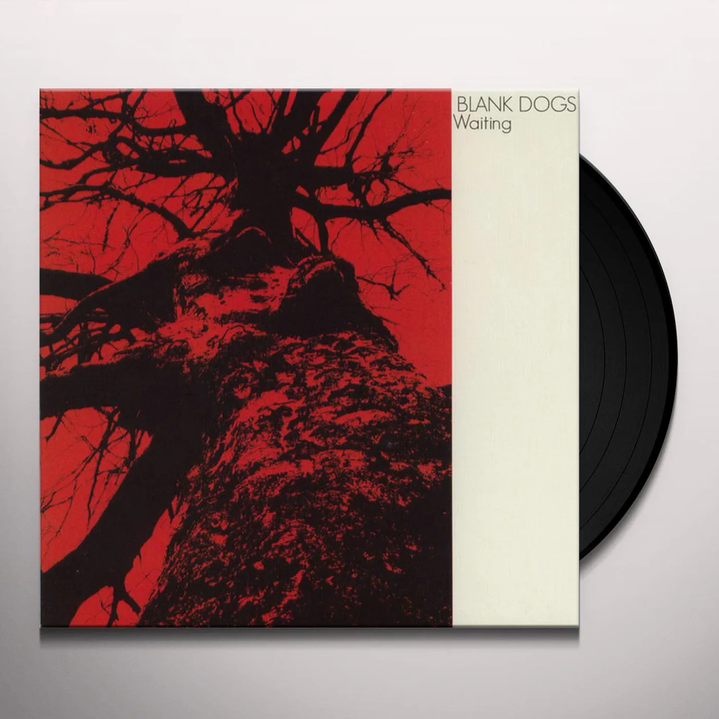 Blank Dogs WAITING/SPLITTING Vinyl Record
