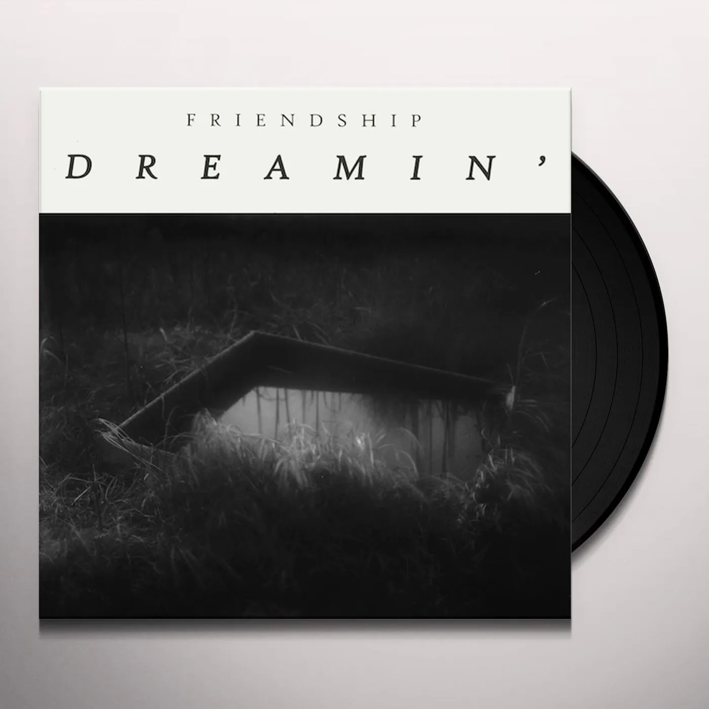 Friendship DREAMIN Vinyl Record