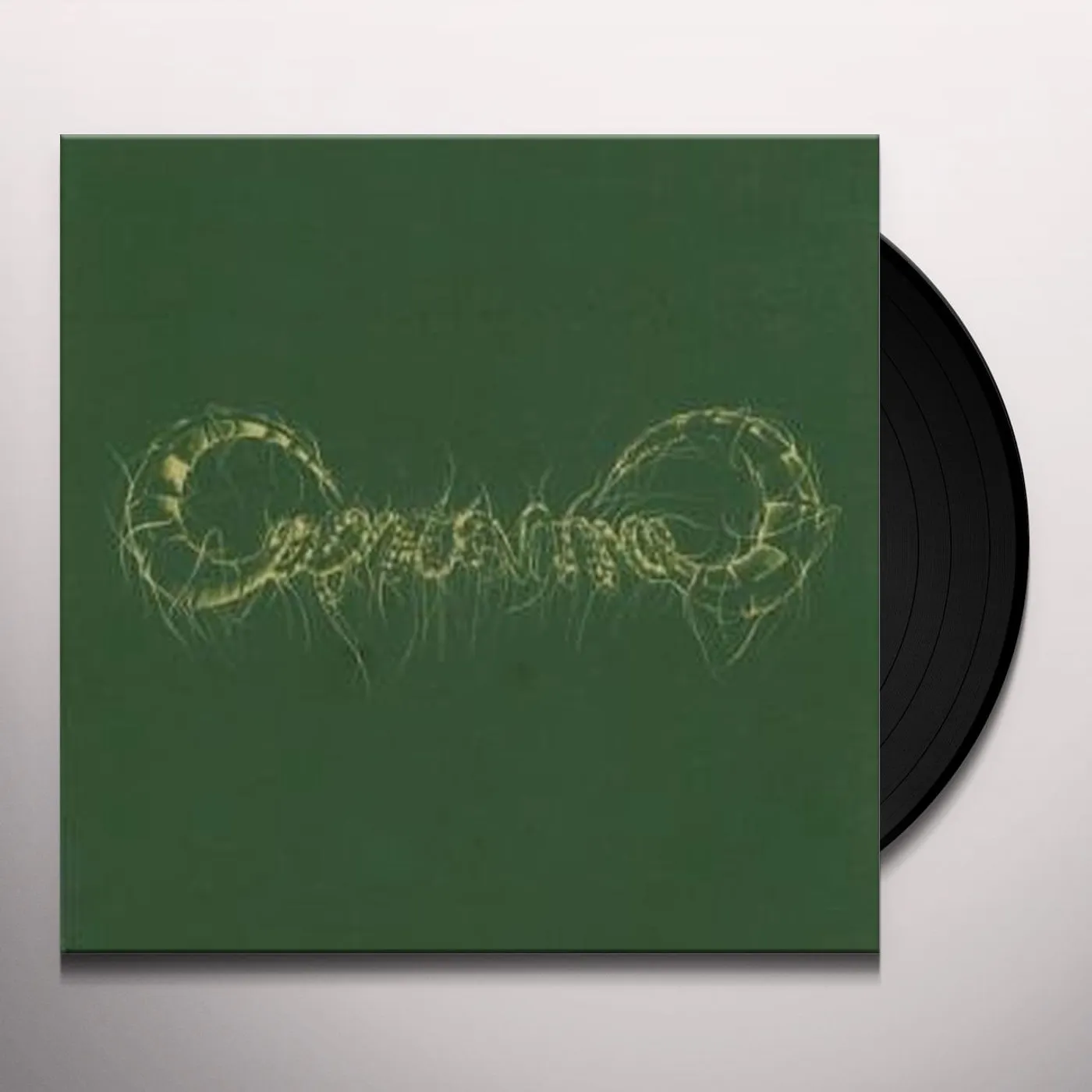 Capricorns Vinyl Record