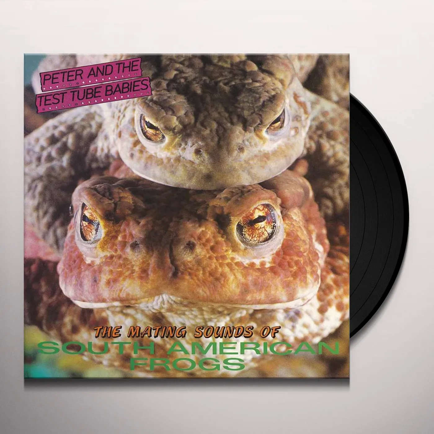Peter and the Test Tube Babies MATING SOUNDS OF SOUTH AMERICAN FROGS Vinyl Record