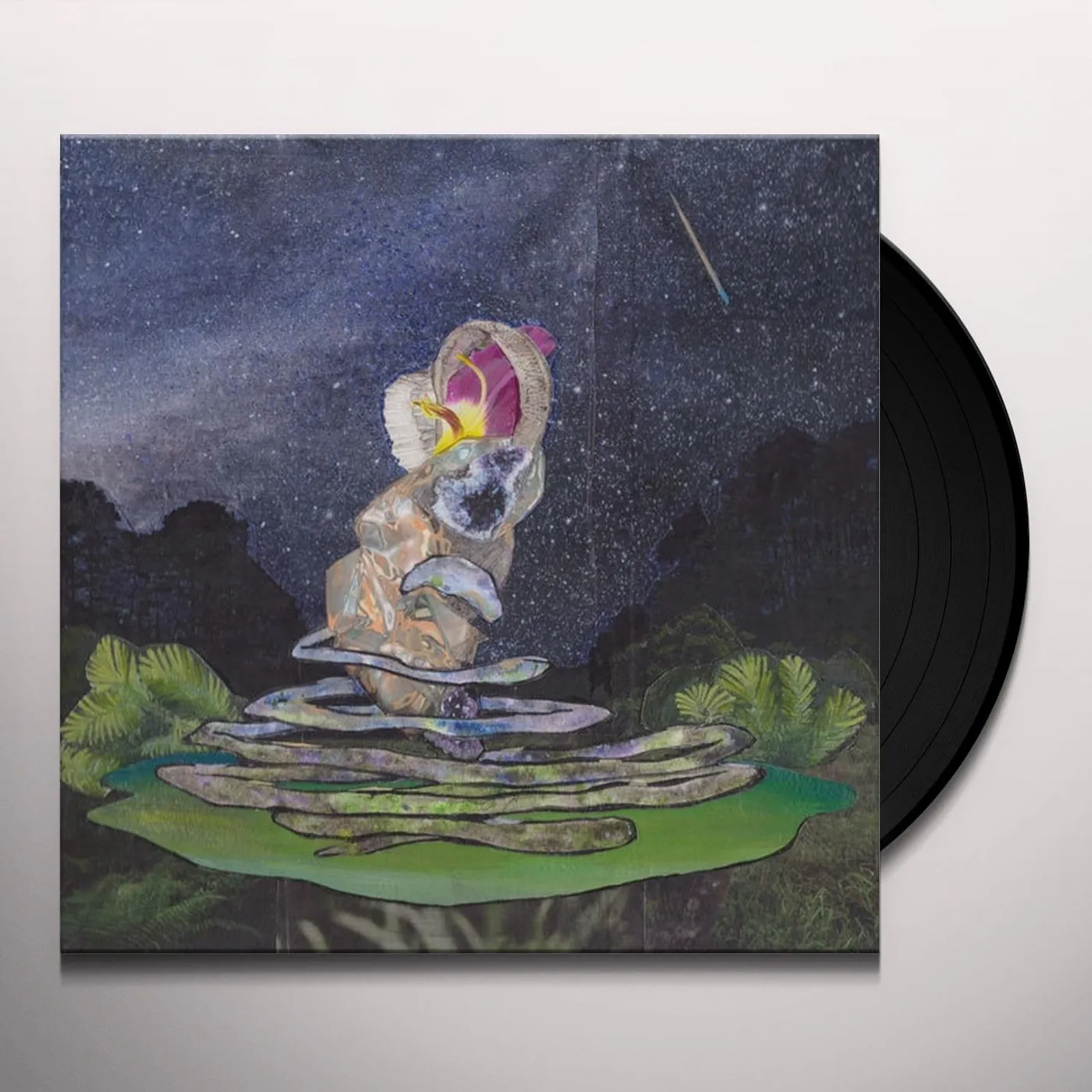 LAL METEORS COULD COME DOWN Vinyl Record