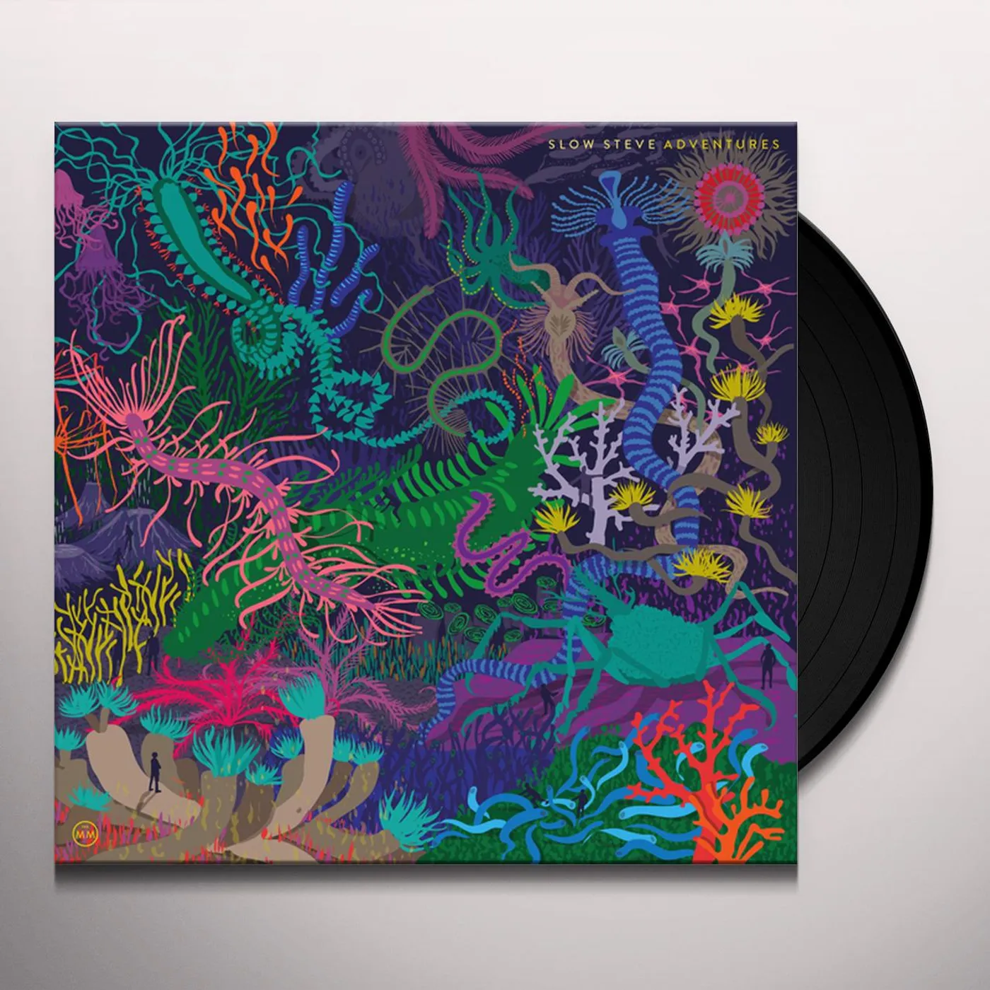 Slow Steve Adventures Vinyl Record
