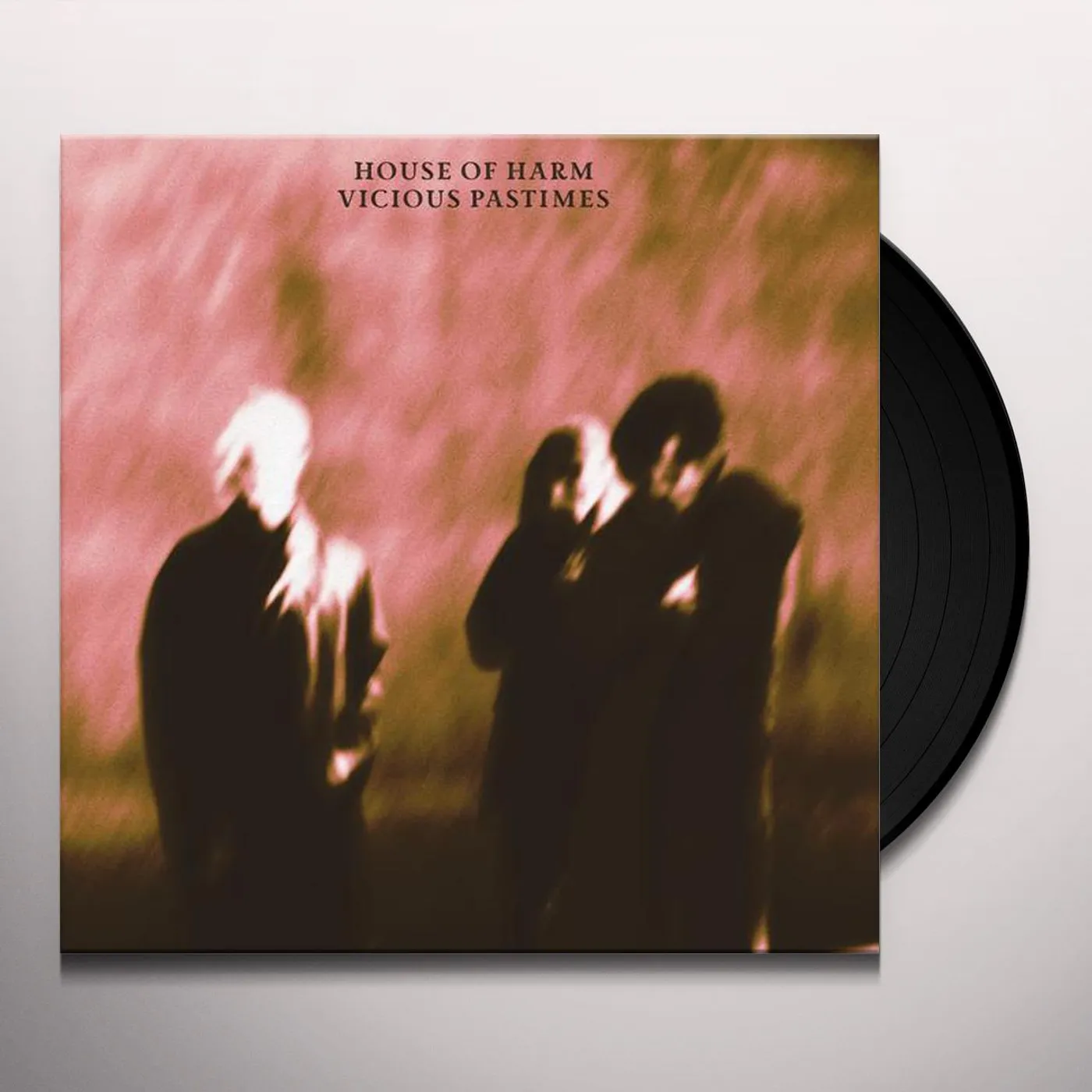 House of Harm Vicious Pastimes Vinyl Record