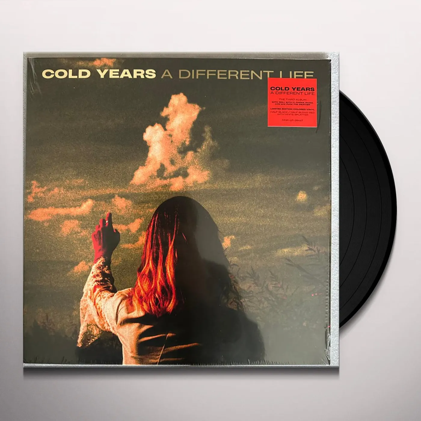 Cold Years DIFFERENT LIFE Vinyl Record