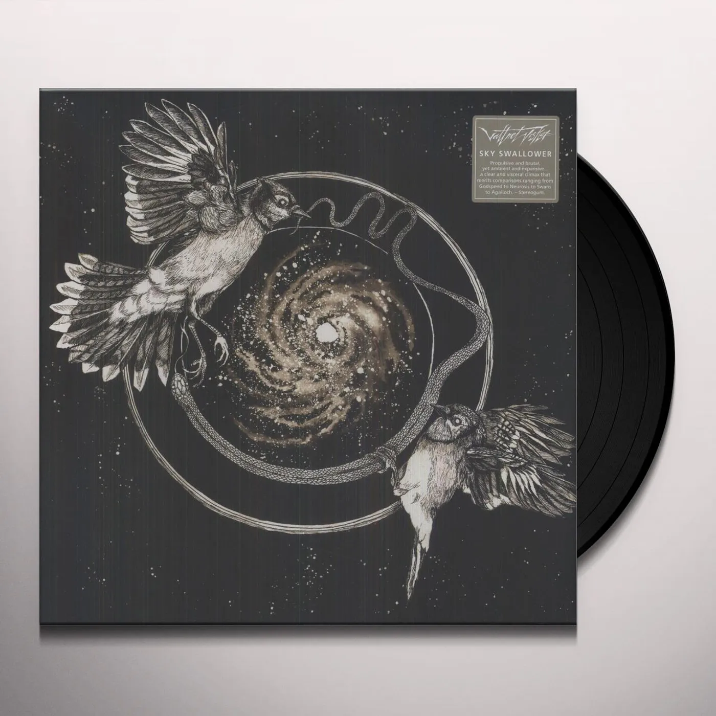 Vattnet Viskar Sky Swallower Vinyl Record