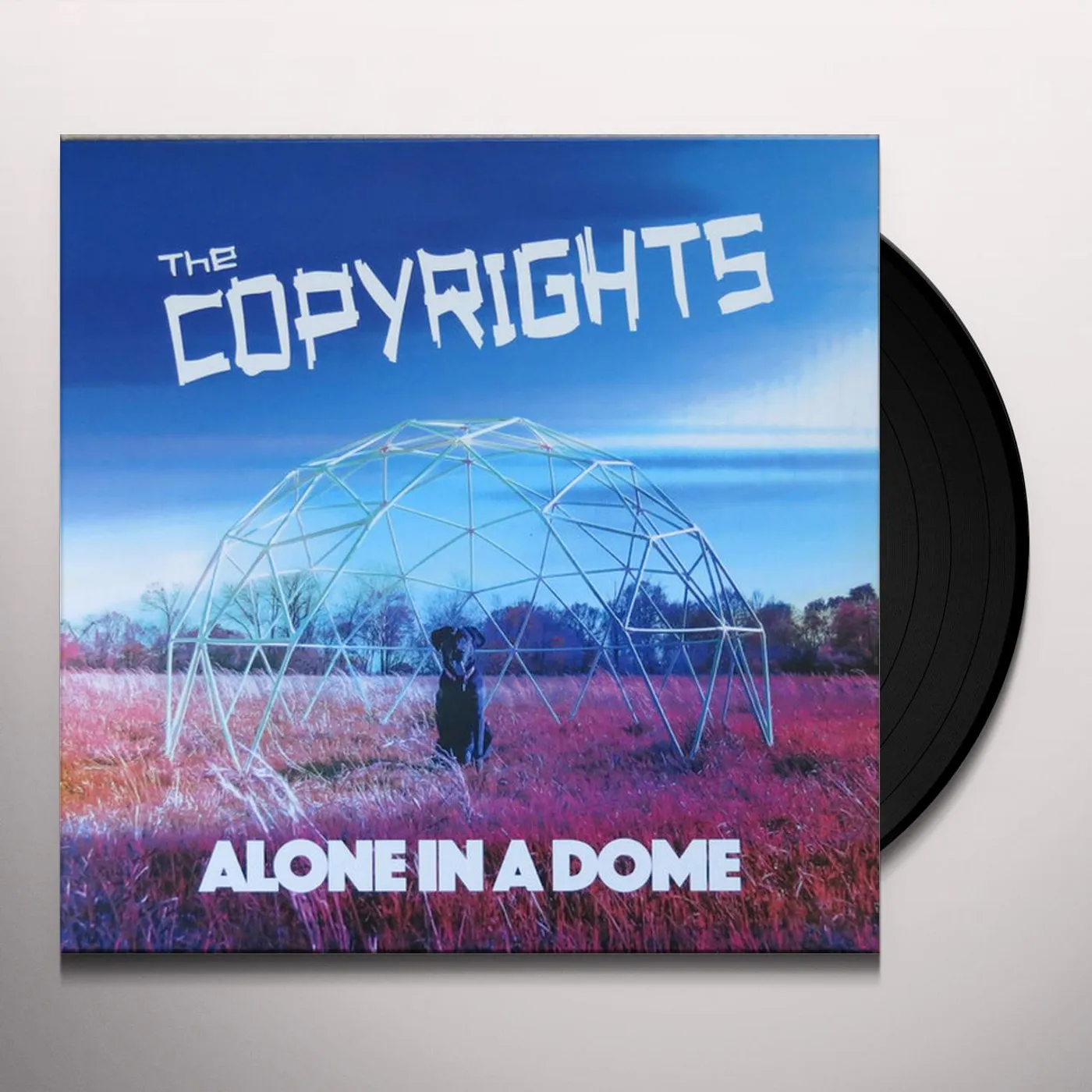The Copyrights Alone in a Dome Vinyl Record