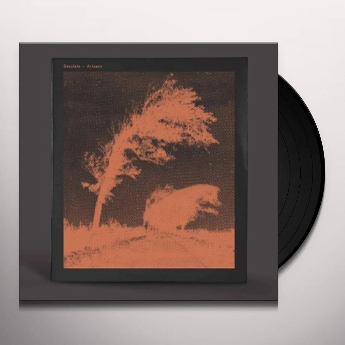 Desolate ACTAEON Vinyl Record