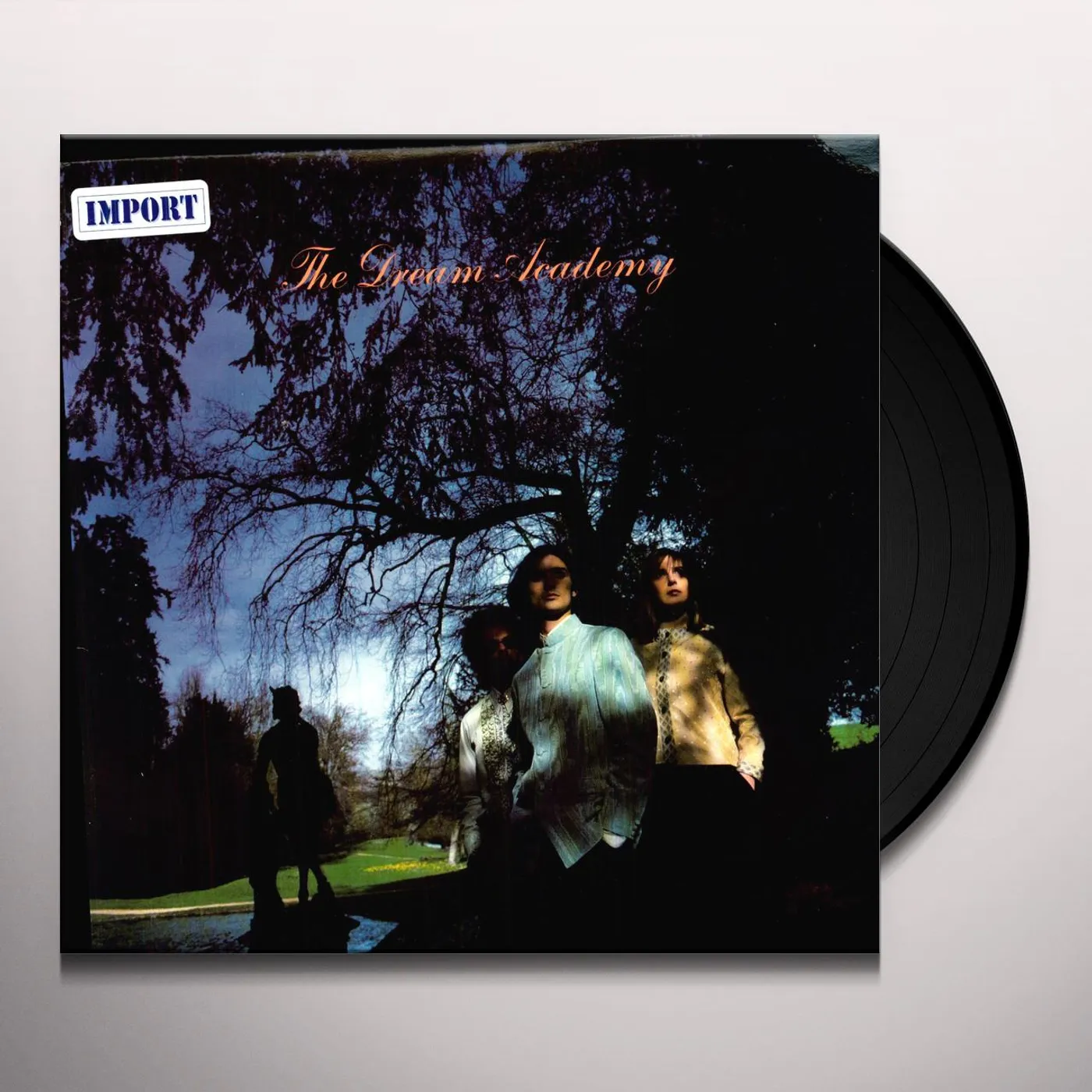 The Dream Academy Vinyl Record