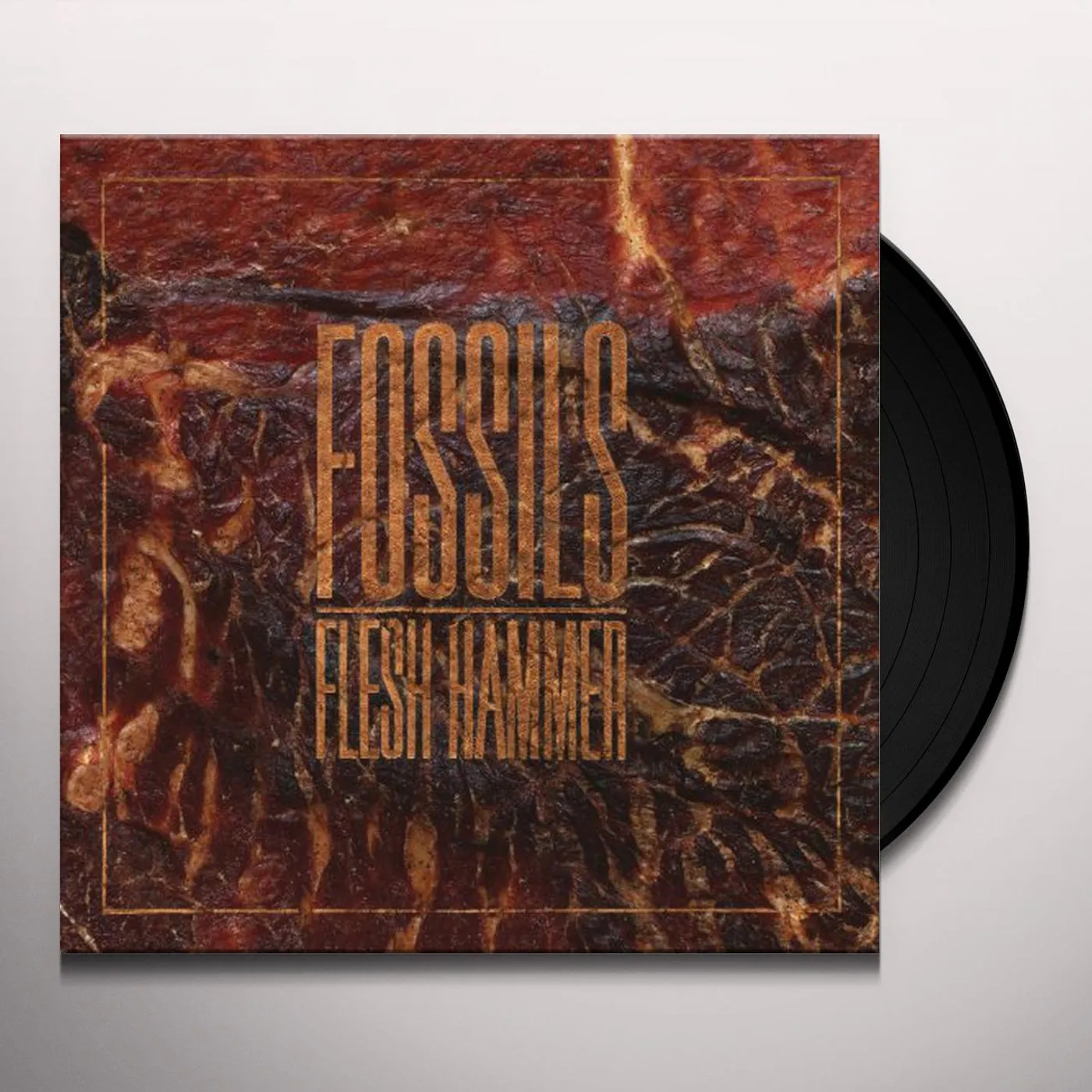 Fossils FLESH HAMMER Vinyl Record