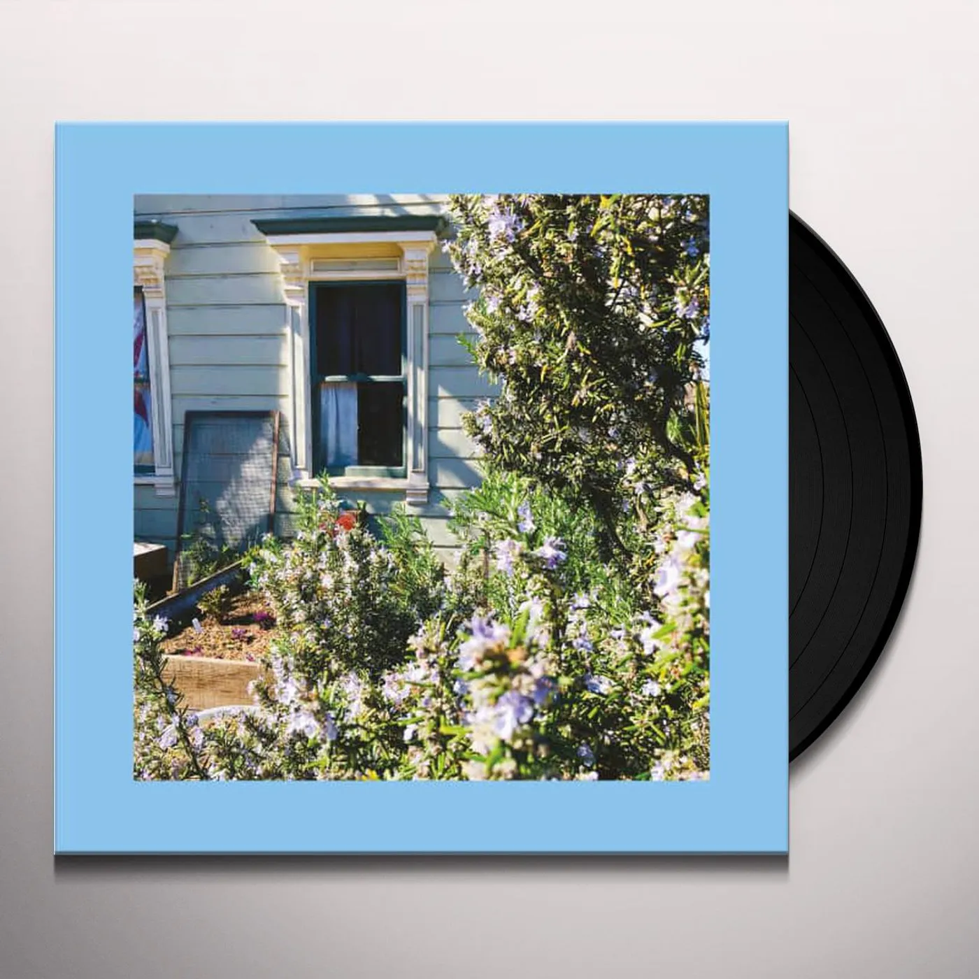 The Reds, Pinks and Purples ANXIETY Vinyl Record