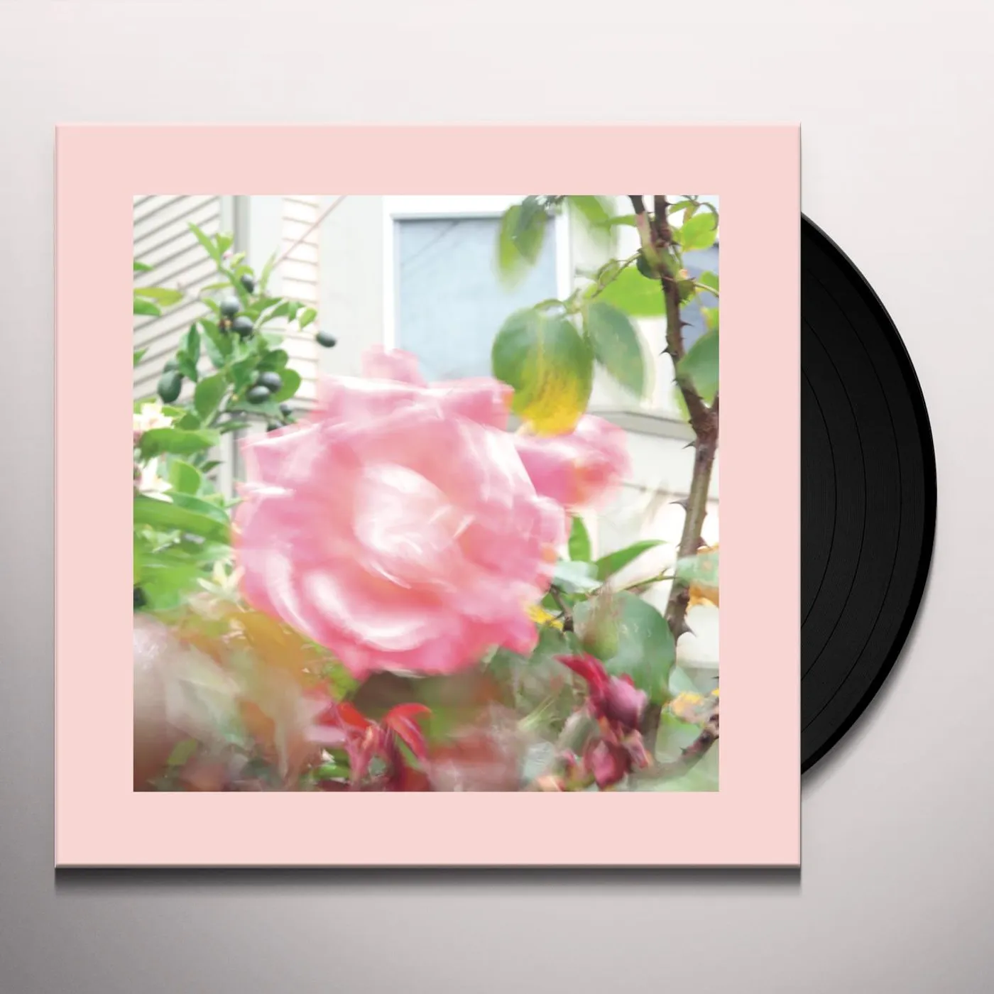 The Reds, Pinks and Purples SUMMER AT LAND'S END Vinyl Record