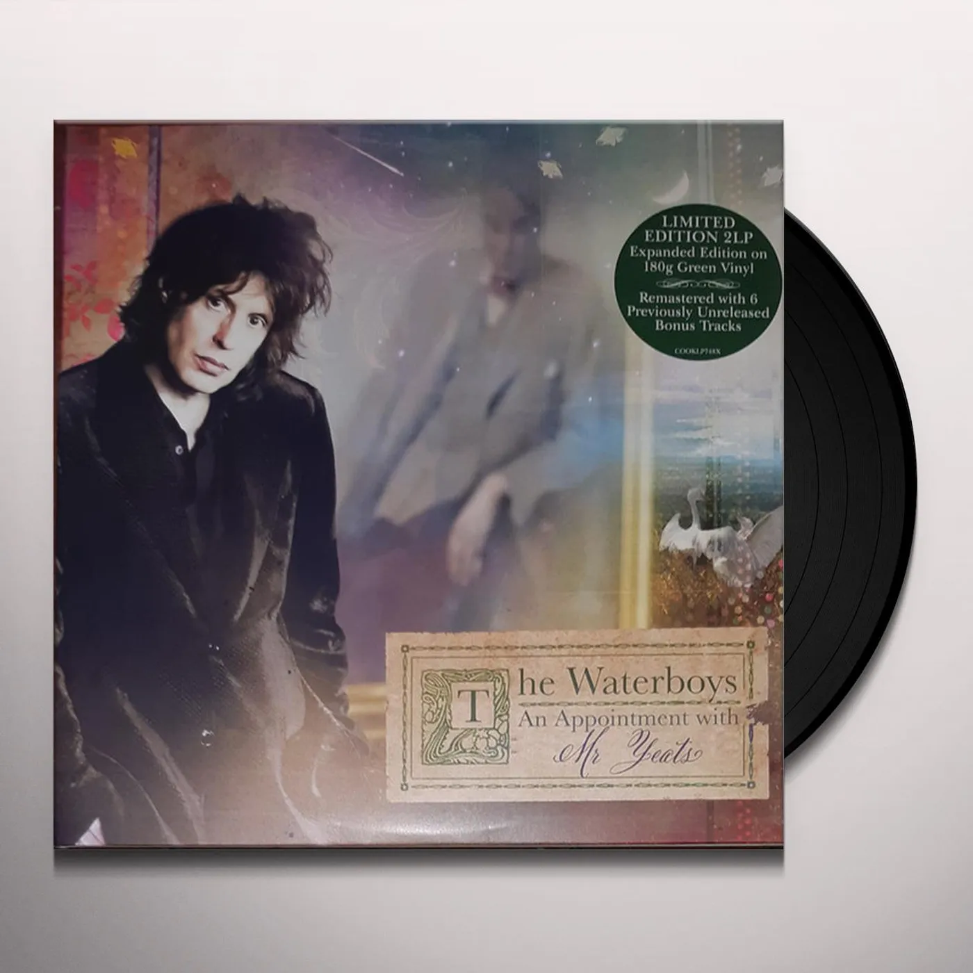The Waterboys AN APPOINTMENT WITH MR YEATS (2LP) Vinyl Record