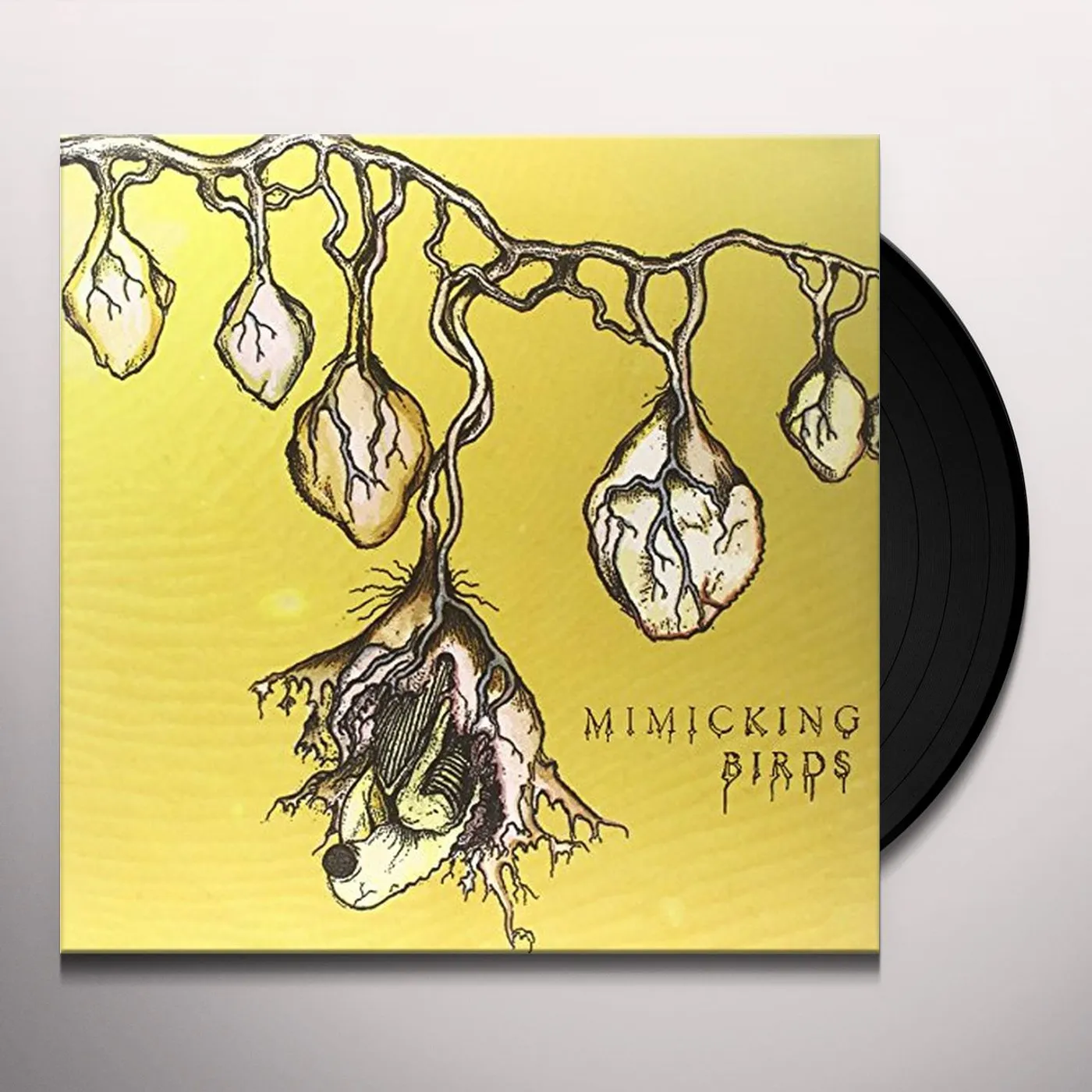 Mimicking Birds Vinyl Record