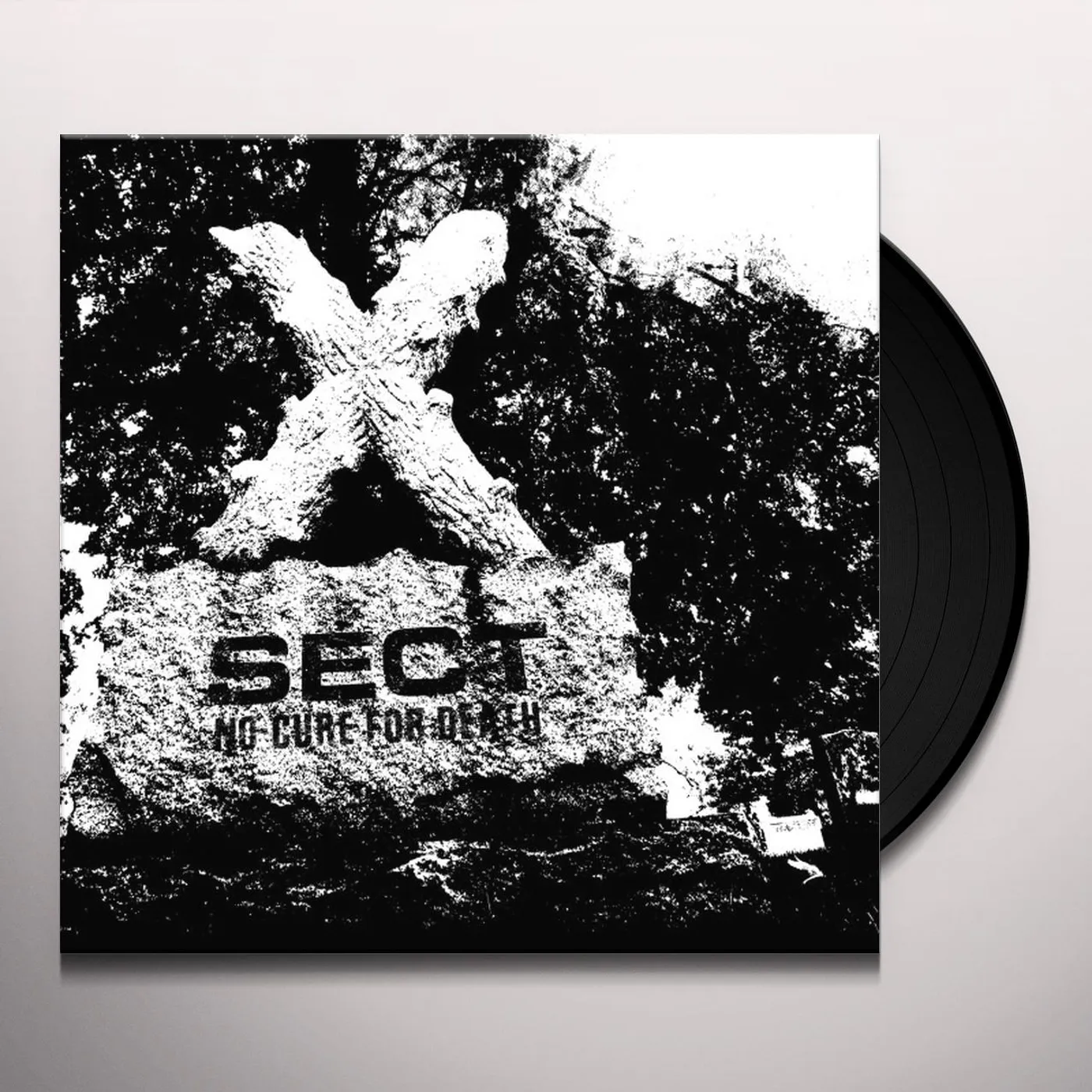 Sect No Cure for Death Vinyl Record