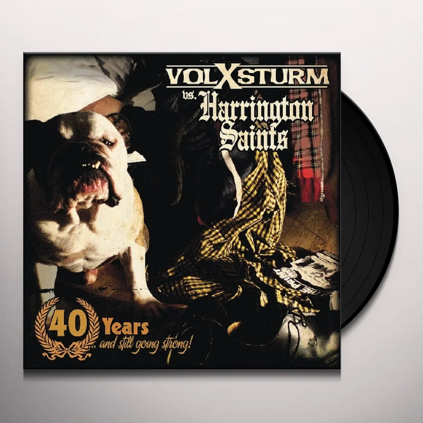 Harrington Saints 40 YEARS & STILL GOING STRONG Vinyl Record