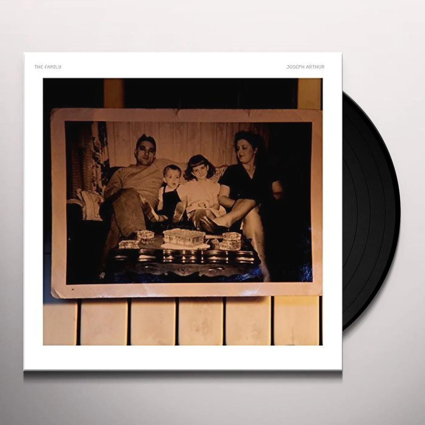 Joseph Arthur The Family Vinyl Record