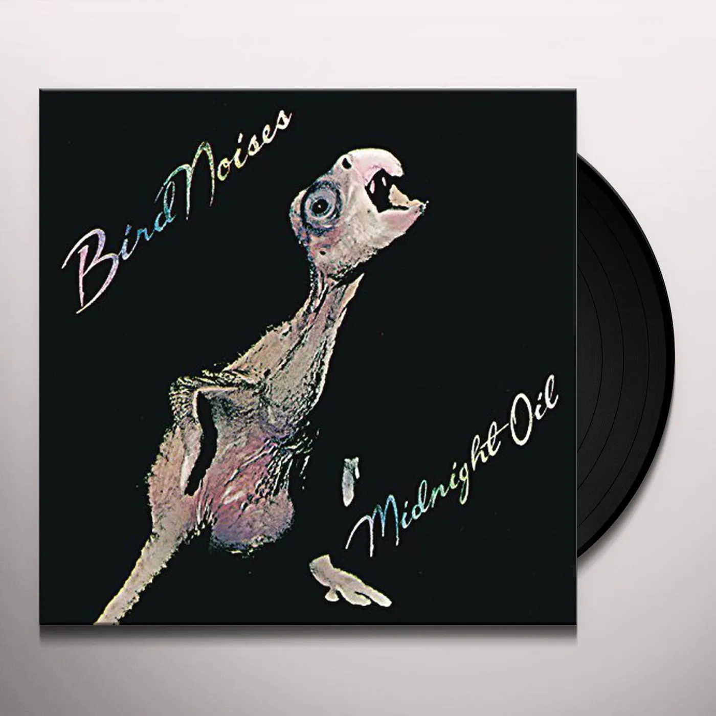 Midnight Oil Bird Noises Vinyl Record