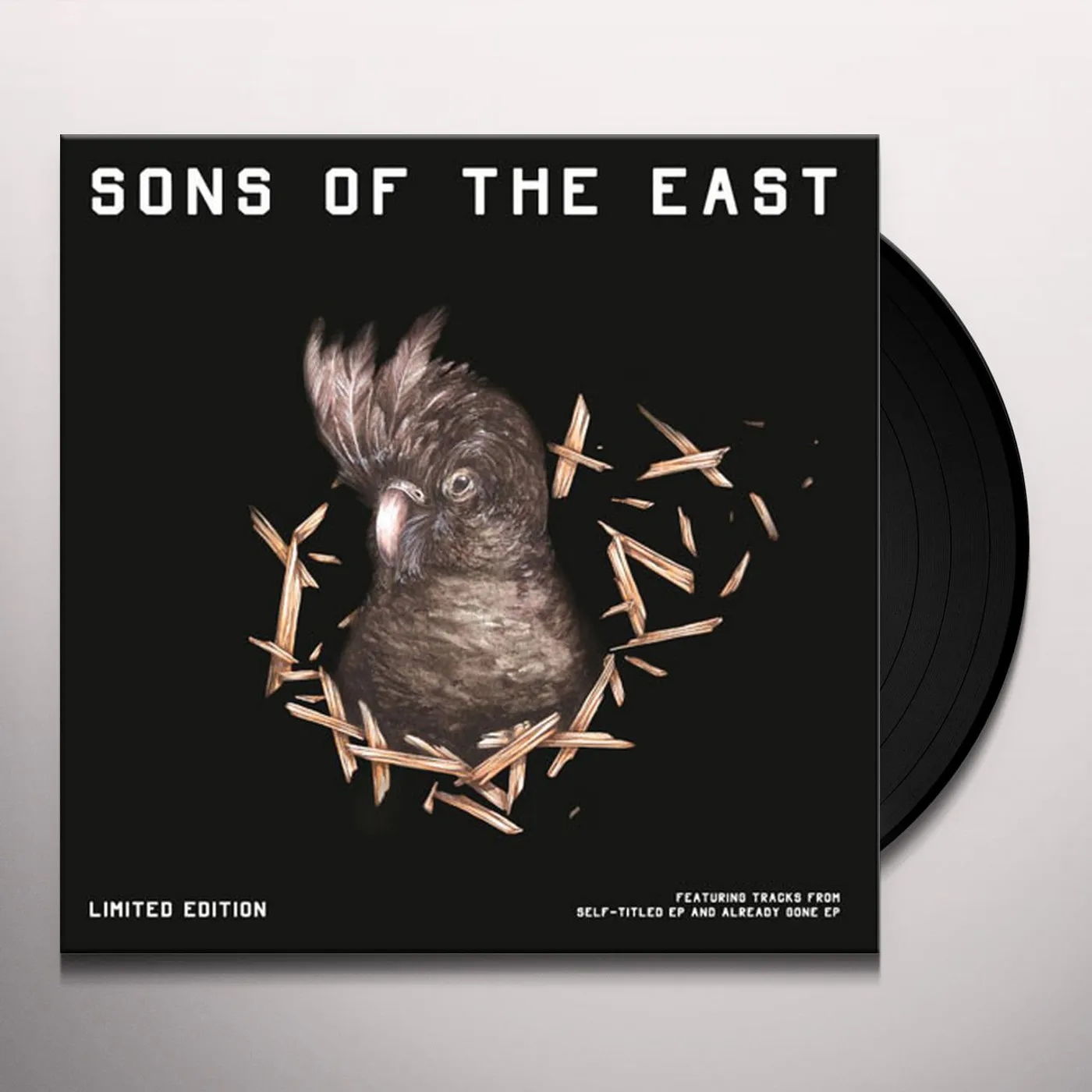 Sons Of The East Vinyl Record
