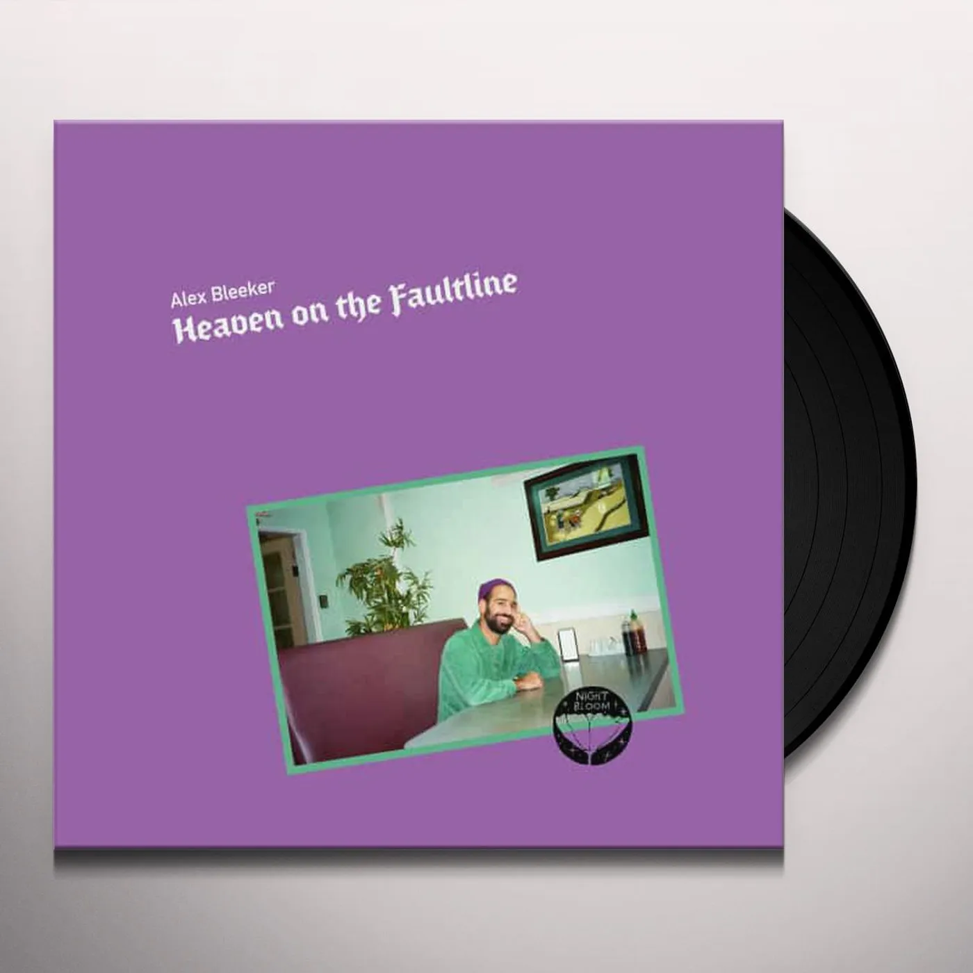 Alex Bleeker Heaven on the Faultline Vinyl Record