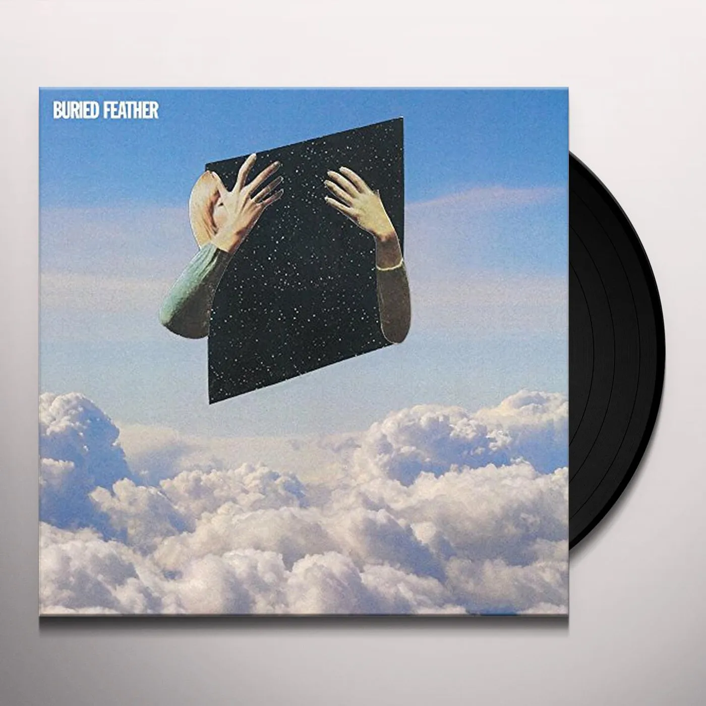Buried Feather Vinyl Record